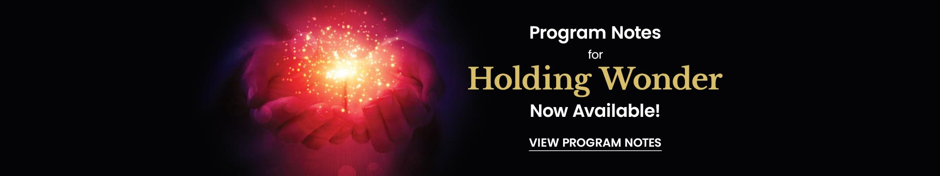 Program Notes for Holding Wonder now available - click to read program notes